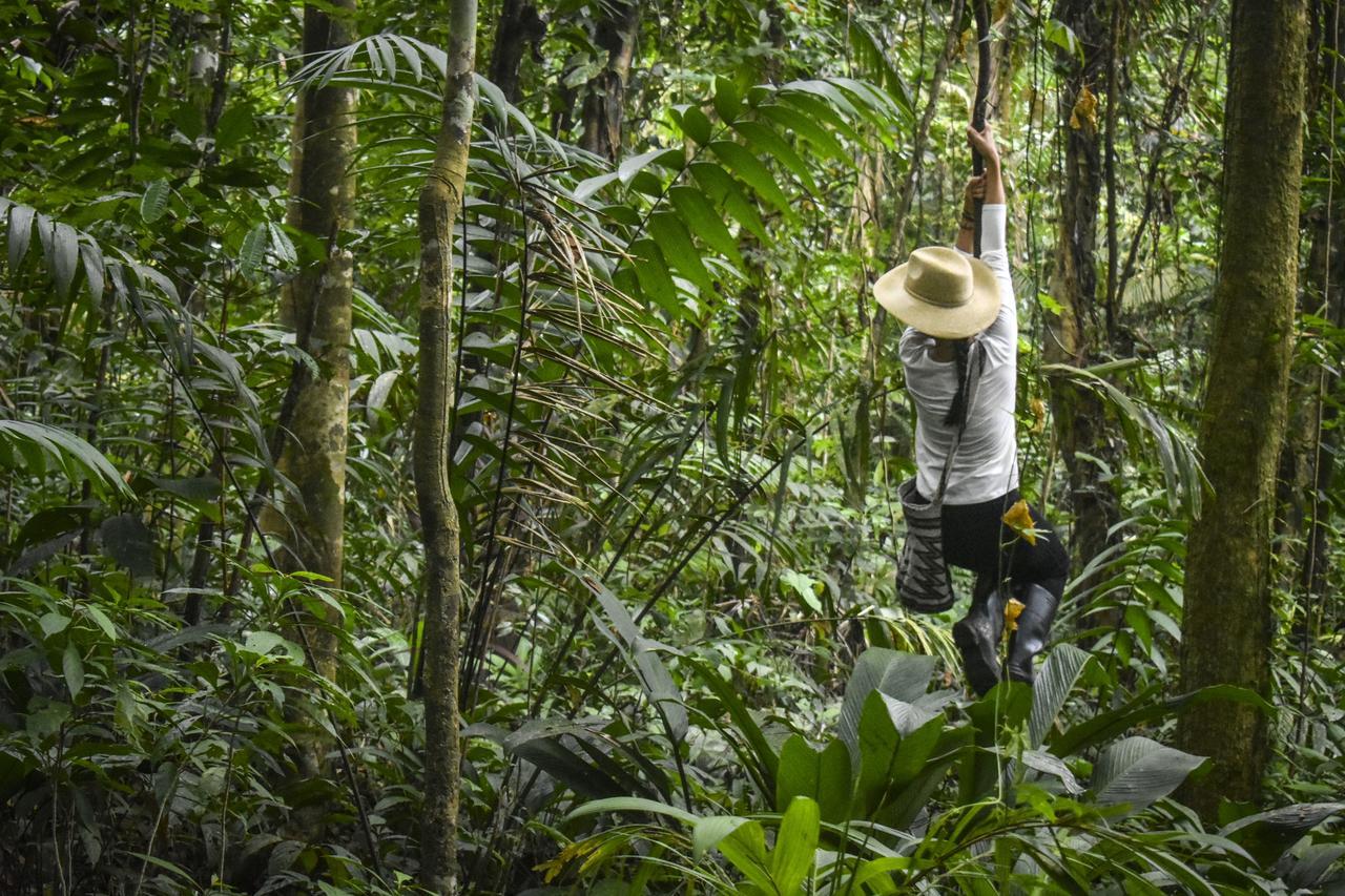 Jardin Botanico Del Pacifico Y Mecana Ecohotel Bahia Solano Kültér fotó