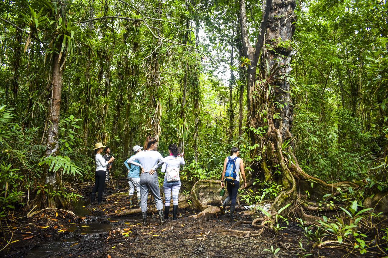 Jardin Botanico Del Pacifico Y Mecana Ecohotel Bahia Solano Kültér fotó