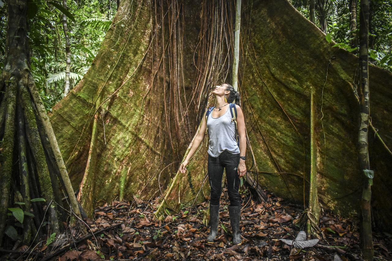 Jardin Botanico Del Pacifico Y Mecana Ecohotel Bahia Solano Kültér fotó